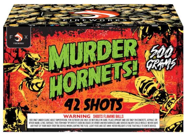 murder hornets